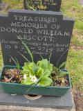 image of grave number 315932